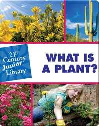 What Is A Plant book
