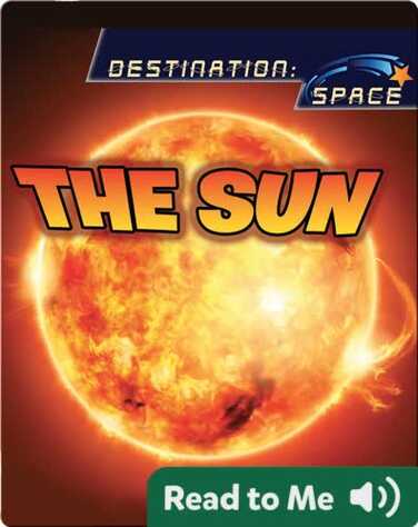 The Sun: Destination Space book