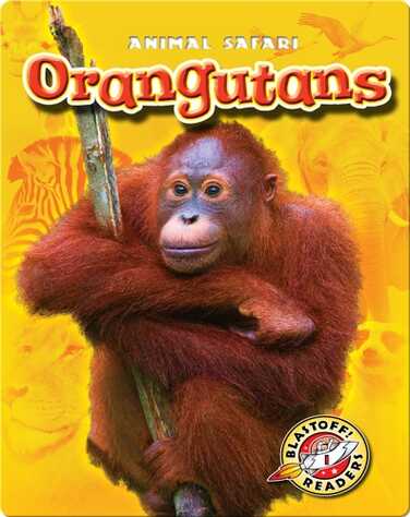 Orangutans book