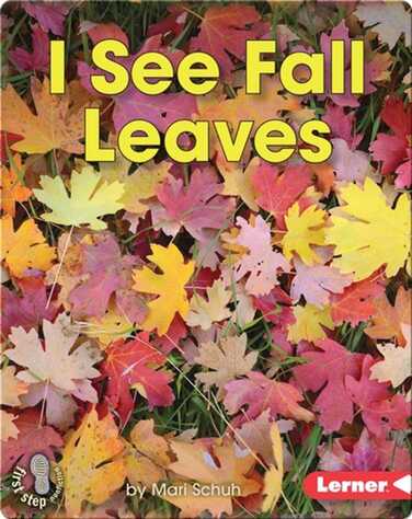 I See Fall Leaves book