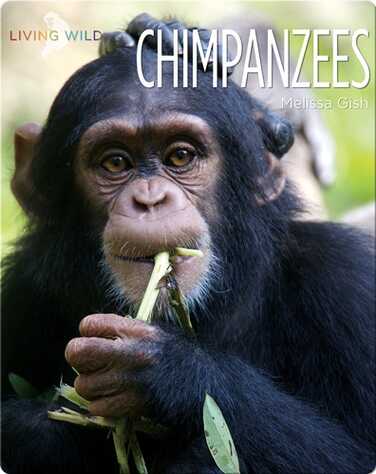 Chimpanzees book