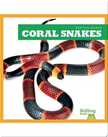 Reptile World: Coral Snakes book