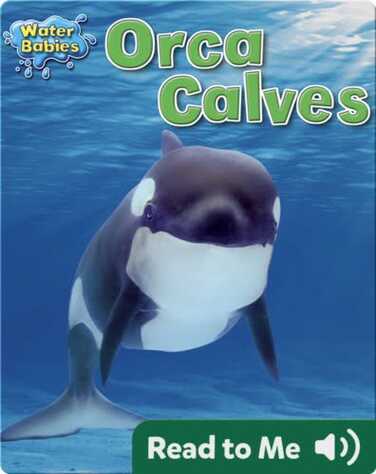 Orca Calves book
