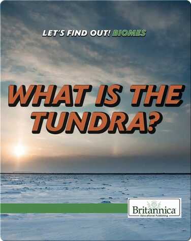 What Is the Tundra? book