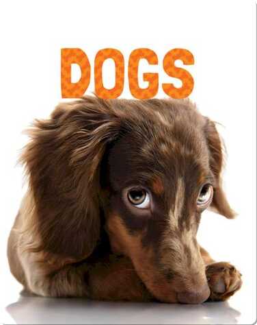 Dogs book