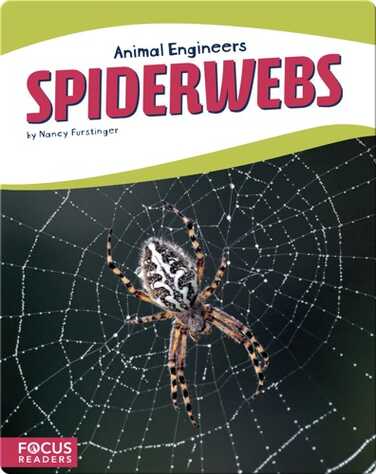 Animal Engineers: Spiderwebs book