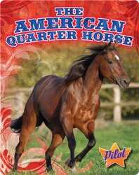 The American Quarter Horse book