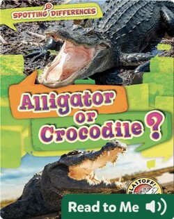 Alligator or Crocodile?