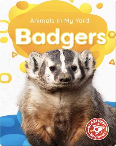 Animals in My Yard: Badgers book