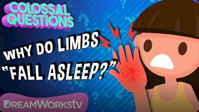 Colossal Questions: Why Do Body Parts "Fall Asleep"? book