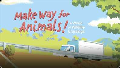 Make Way for Animals book
