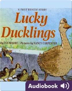 Lucky Ducklings
