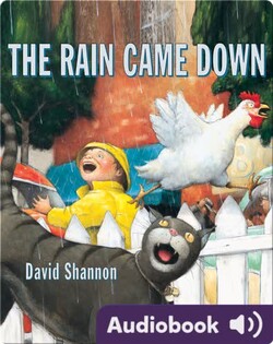 The Rain Came Down