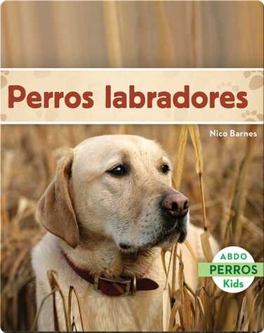 Perros labradores book