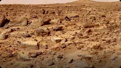 Did You Know: Mars book