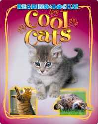 Cool Cats book