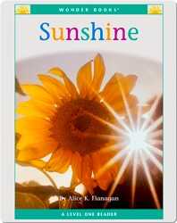 Sunshine book