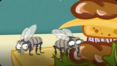 I'm a Fly book