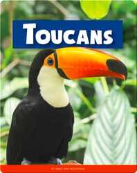 Toucans book