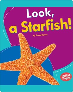 Look, a Starfish!
