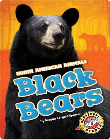 Black Bears book