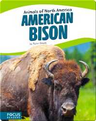 American Bison book