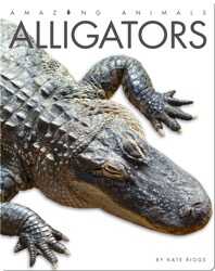 Alligators book