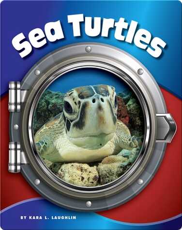 Sea Turtles book