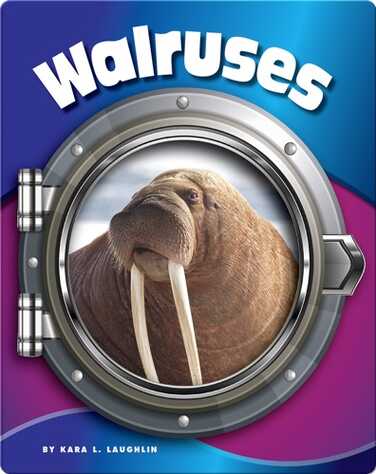Walruses book