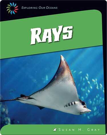 Rays book
