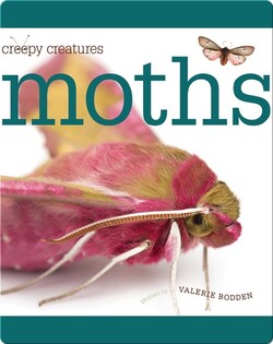 Moths
