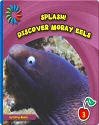 Discover Moray Eels book