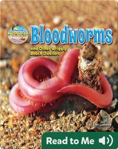 Bloodworms and Other Wriggly Beach Dwellers book