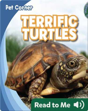 Terrific Turtles book