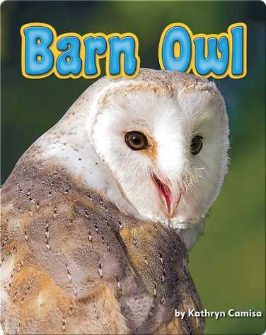 Barn Owl book