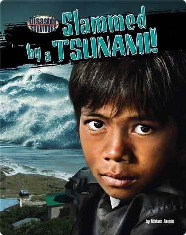 Slammed by a Tsunami! book