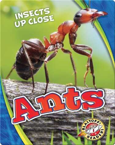 Ants book