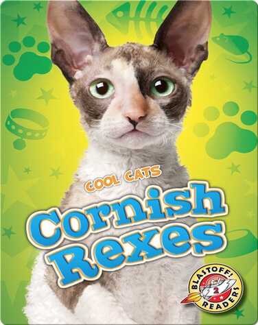 Cornish Rexes book