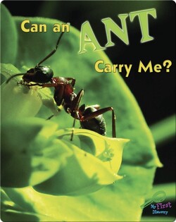Can An Ant Carry Me?
