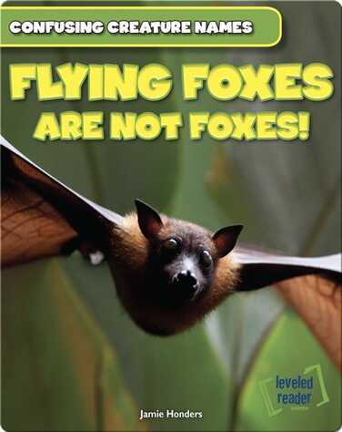 Flying Foxes Are Not Foxes! book