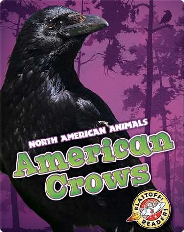 American Crows book