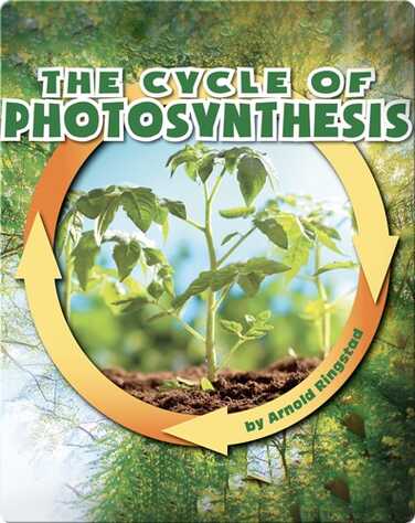 The Cycle of Photosynthesis book
