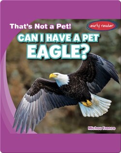 Can I Have a Pet Eagle?