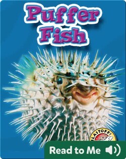 Puffer Fish: Oceans Alive