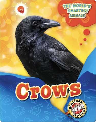The World's Smartest Animals: Crows book