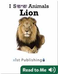 I See Animals: Lions book