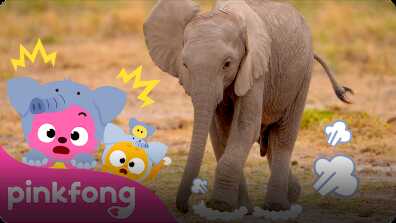 Baby Elephant thump, thump, thump book