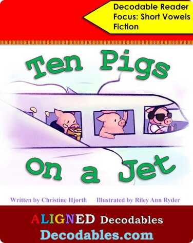 Ten Pigs on a Jet book