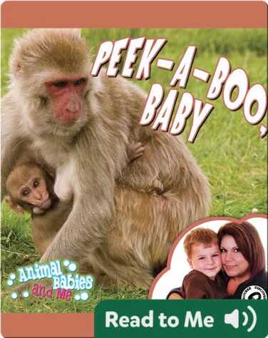Peek-A-Boo, Baby book