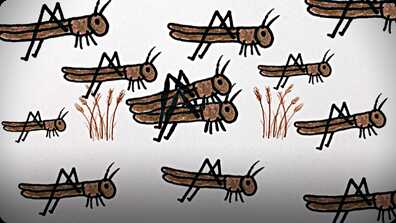 The Great American Locust Plague book